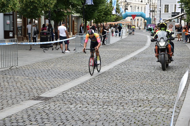 亚历山大引 亚历山大引