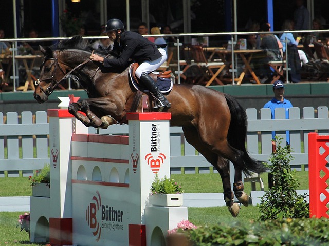 萨内和格纳 萨内和格纳