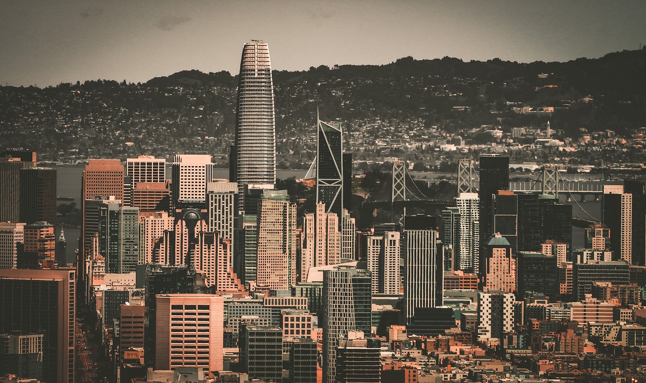 天津泰达1 天津泰达1