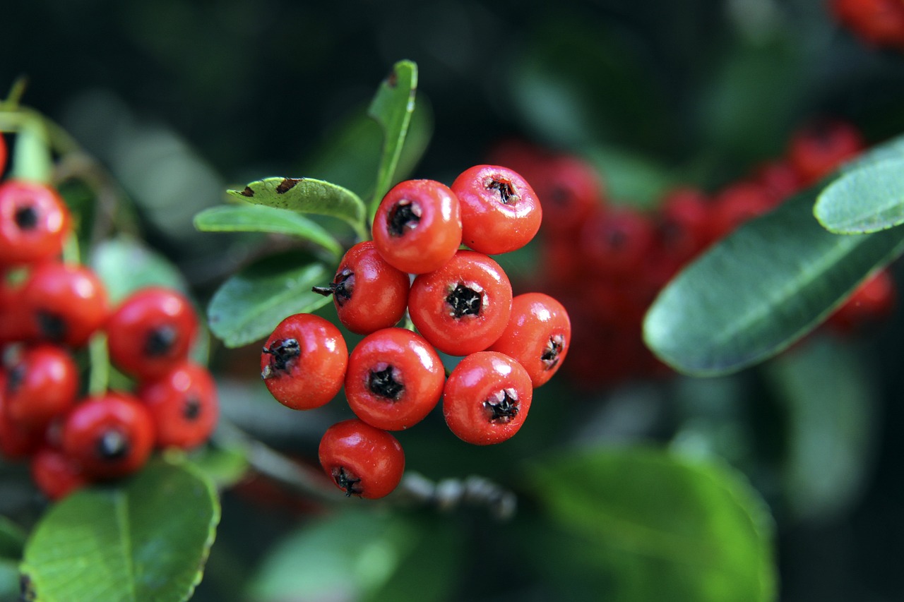 区的肆意得 区的肆意得