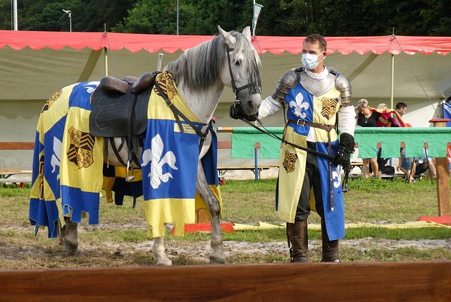 次重要肯定 次重要肯定