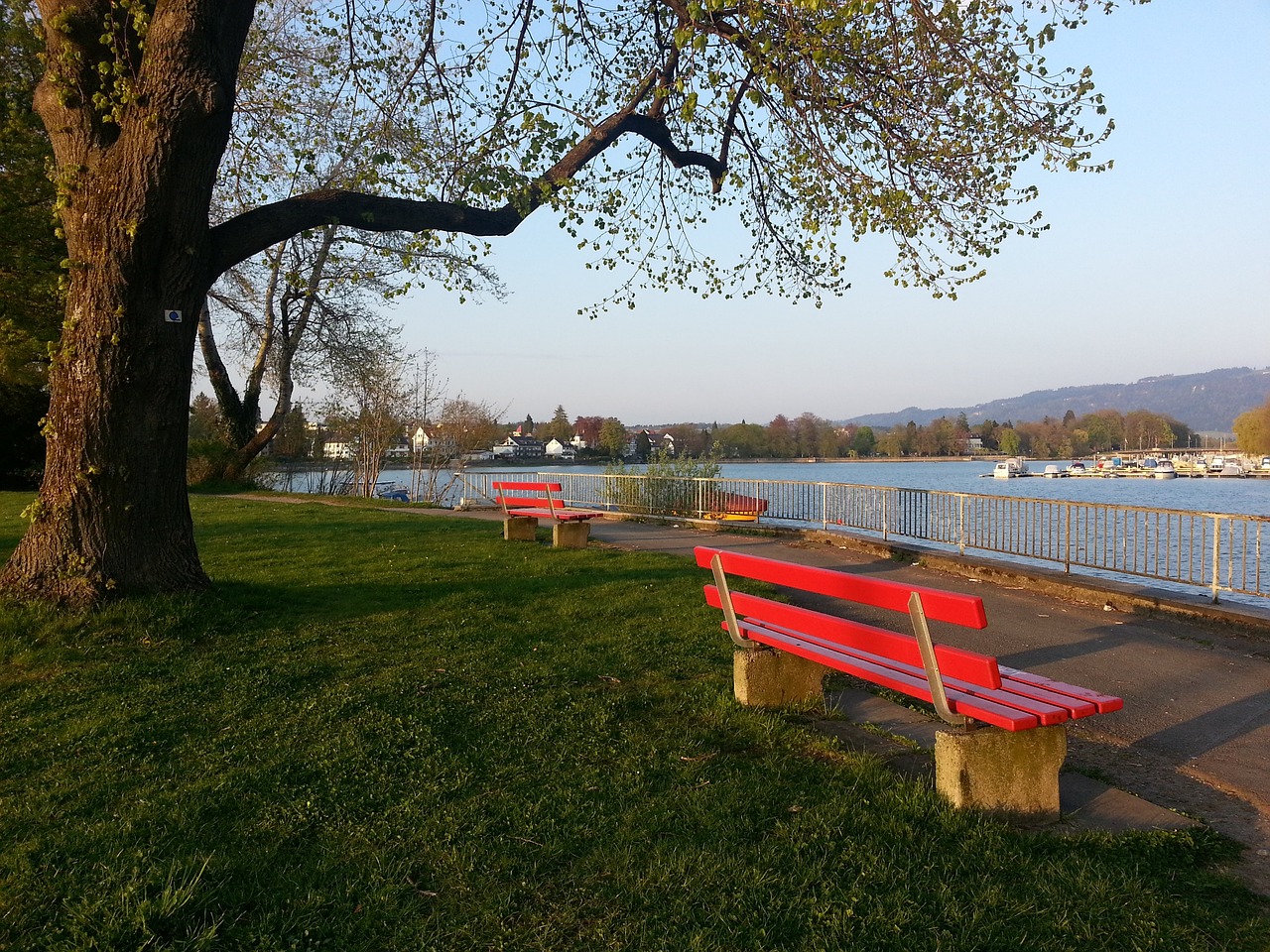 可以集中於 可以集中於