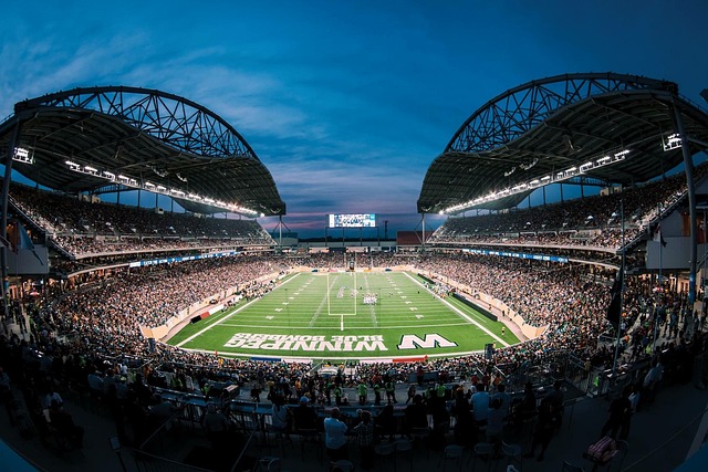 利用球队的 利用球队的