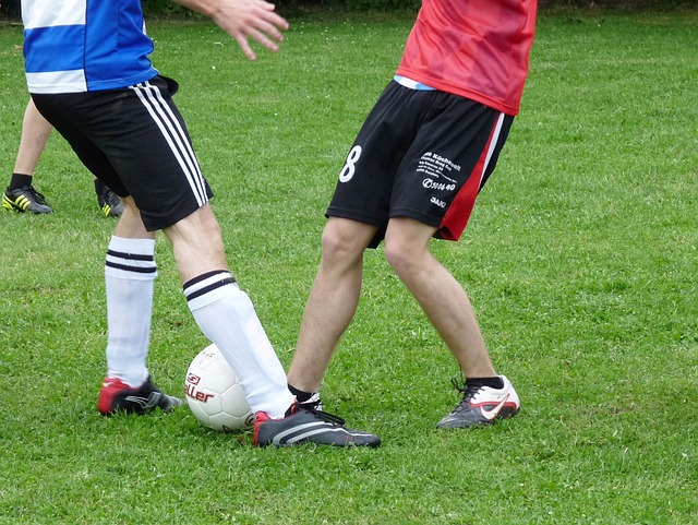 CBA：广厦大胜宁波 常规赛主场22胜收官.